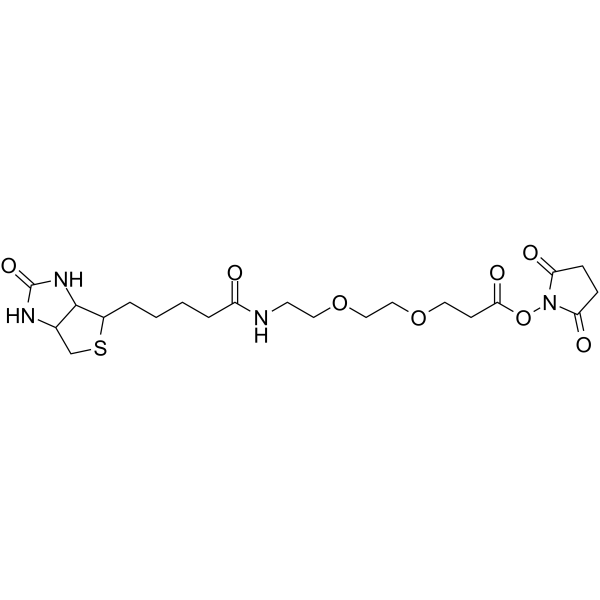 Biotin-PEG2-NHS ester 596820-83-6